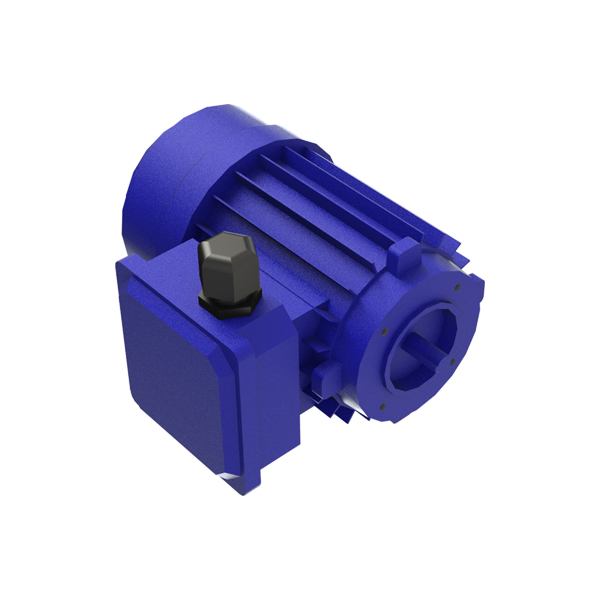 Motor for PEG-PEO 5N and 10N pumps-0